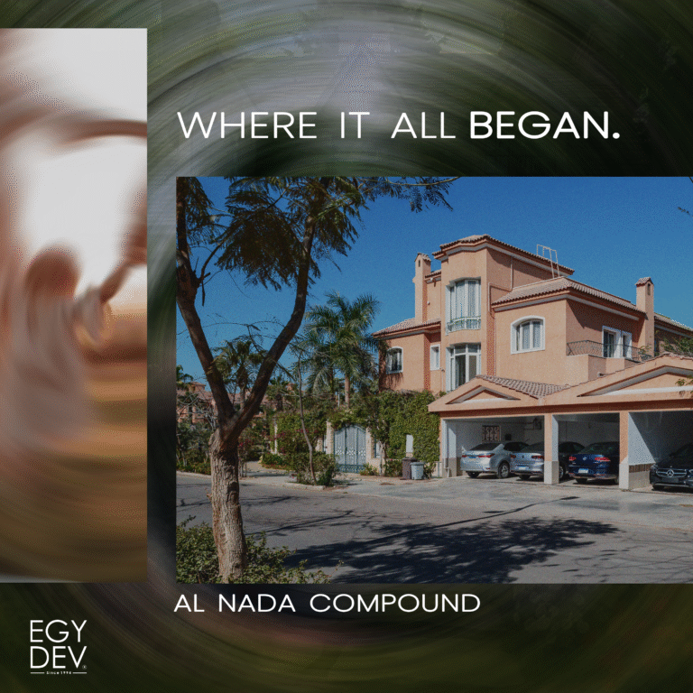 social media posts for egy dev (2)