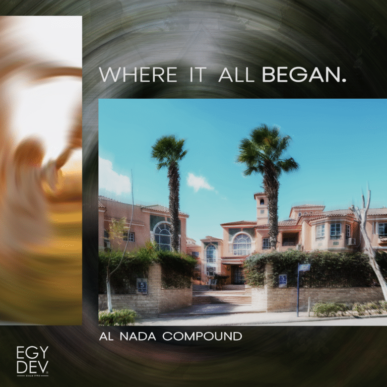 social media posts for egy dev (9)