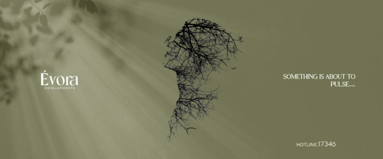 social media posts for evora (3)