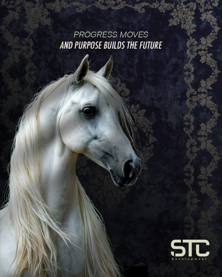 social media posts for stc (5)